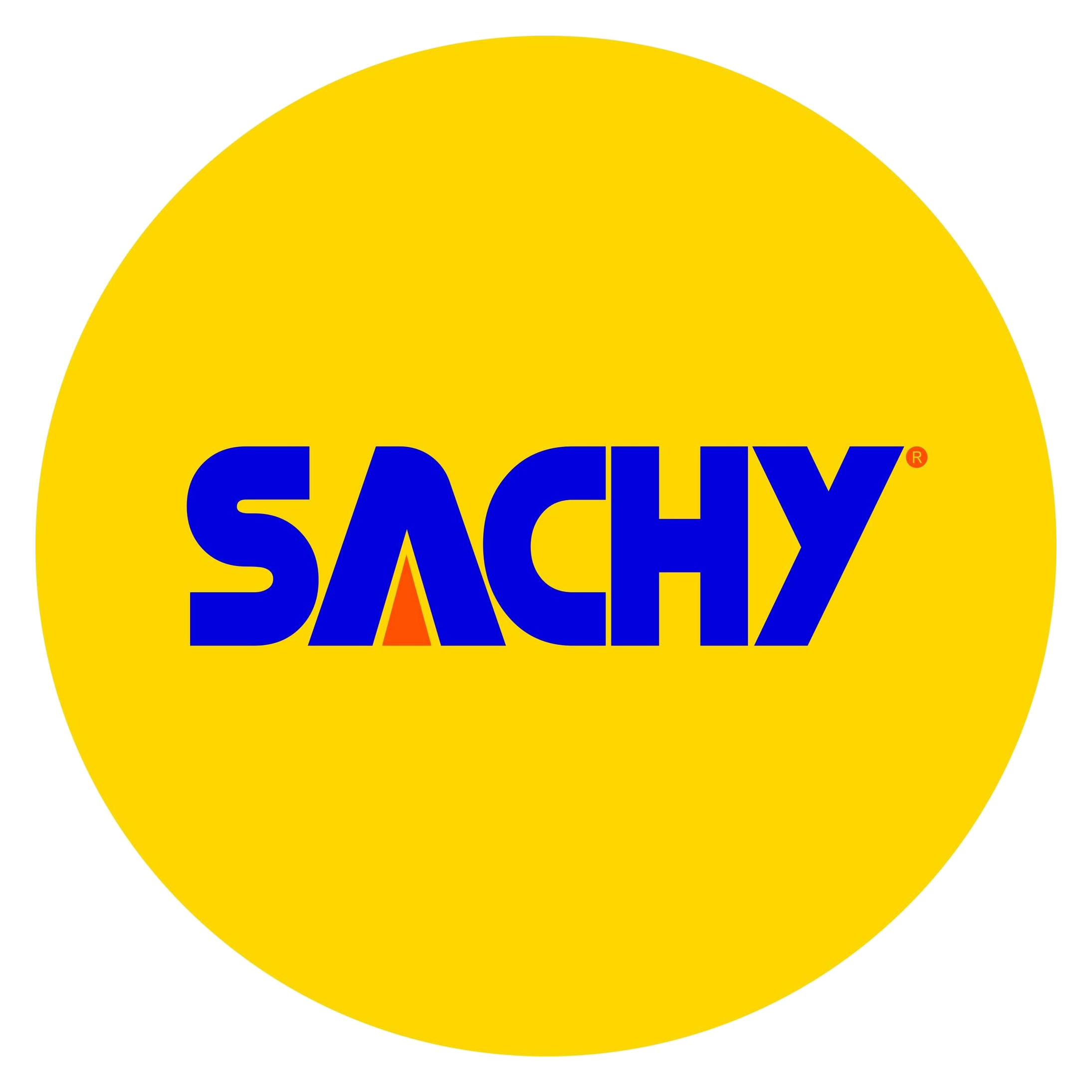 Sachy